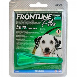 FRONLINE PLUS...