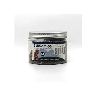 HIERBA GATERA 30g FRASCO